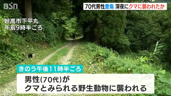 【新潟】畑を見にいこうとしたら背後からクマに襲われ…７０代男性が骨折