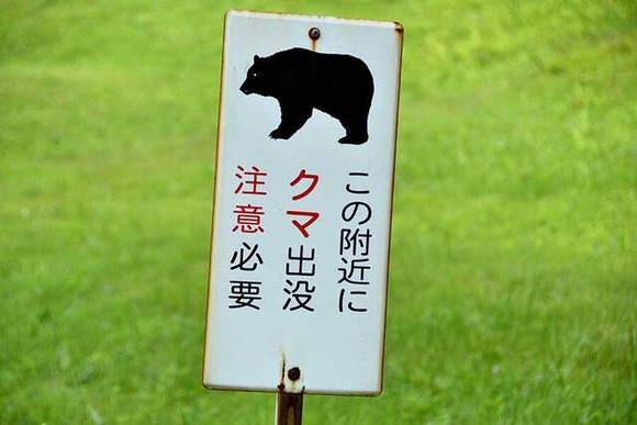 「クマの出る場所に住むな」　抗議の声に秋田の地元住民が絶句「そんなこと言われても…」