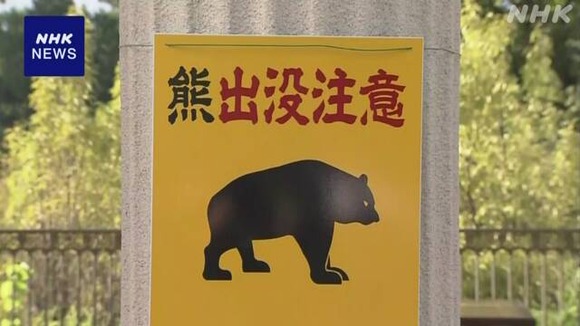 【北海道】ヒグマの目撃がドングリ不作で去年の3.5倍に