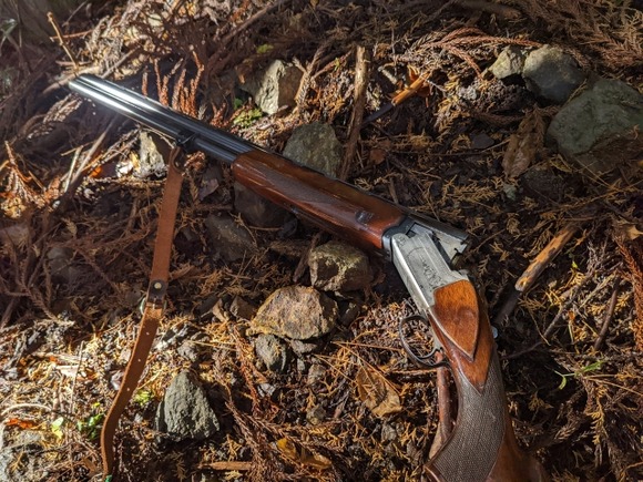 ひろゆき 「猟銃のせいって決めない方がいい。いくらでも手段はある。あったから使った」