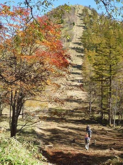 笠取山