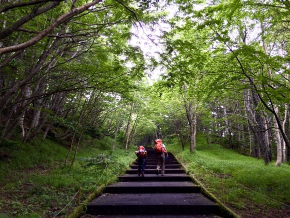 今までゴアの靴3足買って全部一年以内に浸水するようになった
