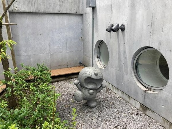 491