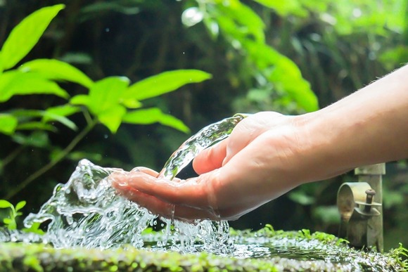 山の湧き水って勝手に持ち帰っていいの？