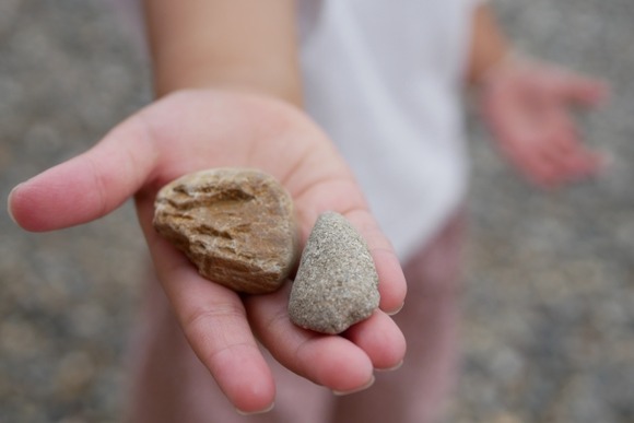 【朗報】趣味「石集め」、ガチでコスパ最強