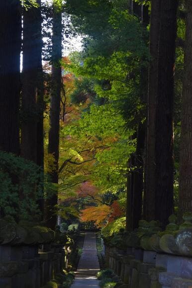 【画像】いい天気だから禅寺へ紅葉見に行ってきた