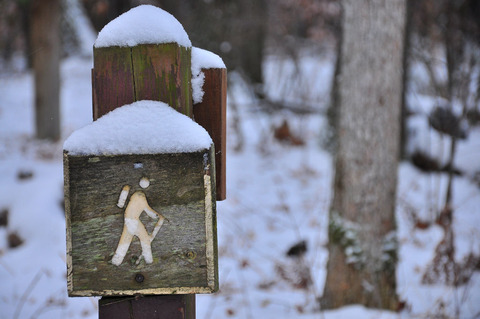 4198452908_99e0aaa7ce_b