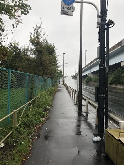 【画像】東京駅から葛西臨海水族園まで歩く