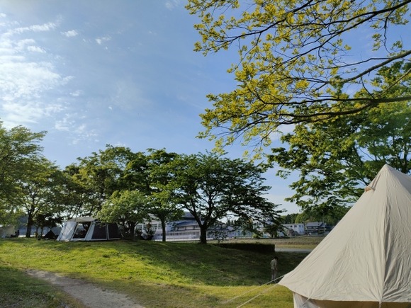 キャンプ場の倒木で人が亡くなった事例って今まであったのかな？