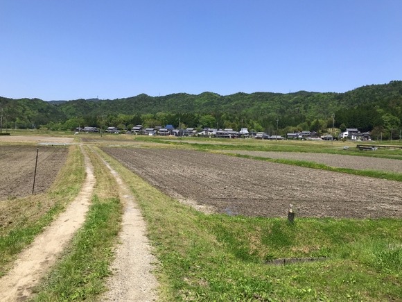 山奥でひっそり生きていきたいんだが・・・