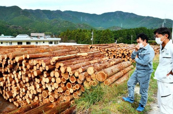 世界「木材が足りないよぉ。高くても買うよぉ」→日本「今が好機！沢山切れ！」→世界「もういいッス」
