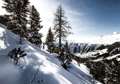 雪山登山