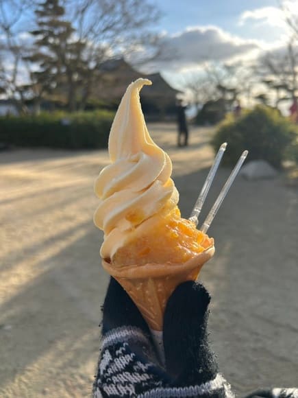 【画像】愛媛旅行いってきたでｗｗｗｗｗｗｗｗｗｗｗ