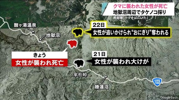 「明らかに人を狙って襲っている」八甲田にある地獄沼周辺のツキノワグマ