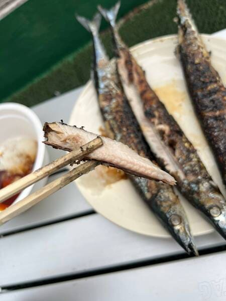 【画像】今ベランダでサンマ焼いてる