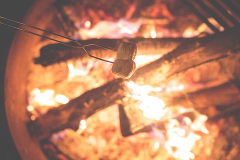 alex-holt-41510-unsplash