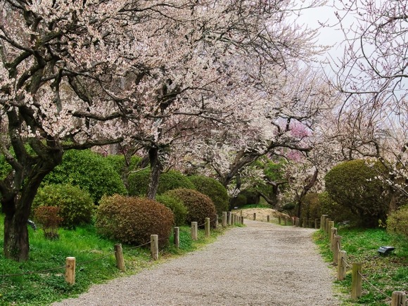 ちょっと前に茨城旅行に付き合うことにした者だけど