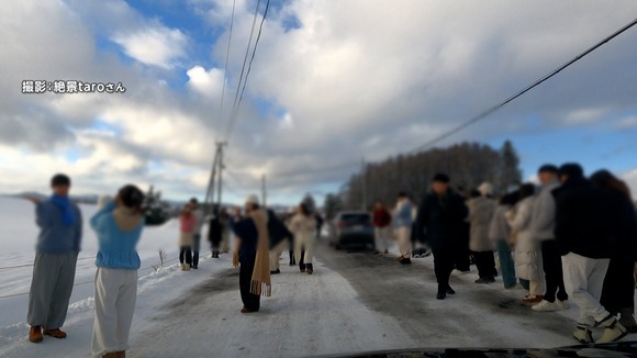 【北海道】美瑛町の絶景「人気シラカバ並木」約40本伐採
