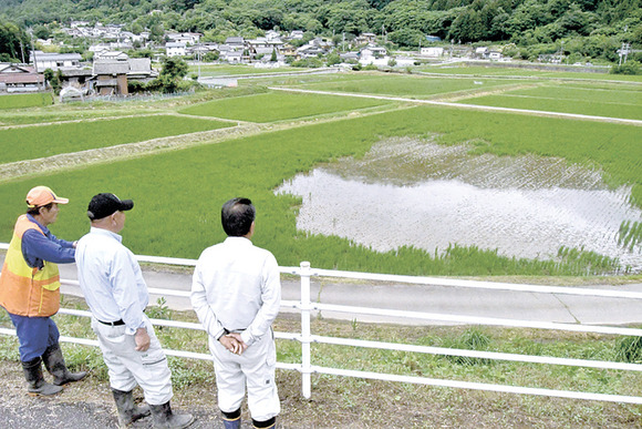【コメ】シカによる水稲食害、長野県松本市中山で深刻…広域的な対策急務に