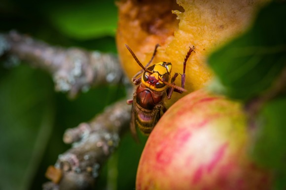 doncoombez-1zxe-GGCWFA-unsplash