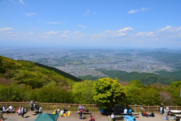 サースフェーの赤が安いから買おうか迷ってるけど何で赤は人気ないん？