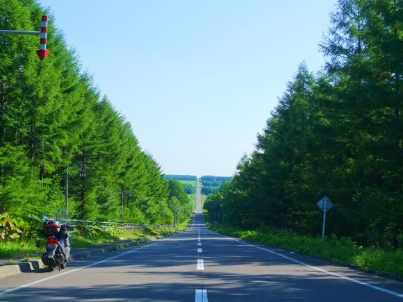 北海道きたら12度でワロタ