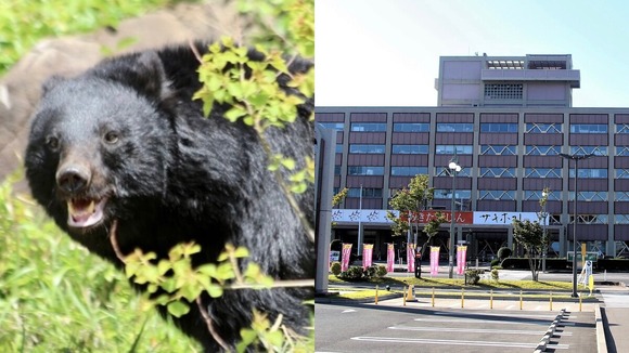 役場への「クマ殺すな！」電凸クレームの次は「クマ絶滅させろ！」の電凸　どうすりゃいいんだよ