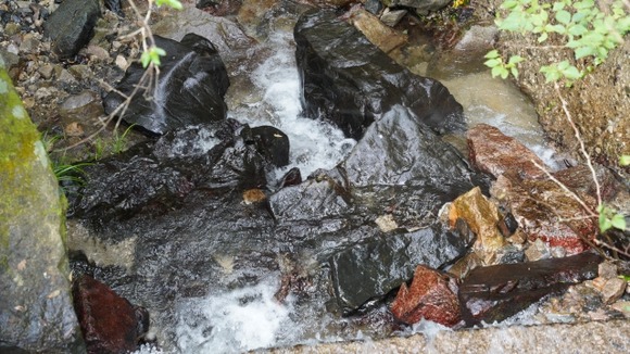 登山道にある湧水って「綺麗」「飲める」とかレビューあっても警戒しちゃう