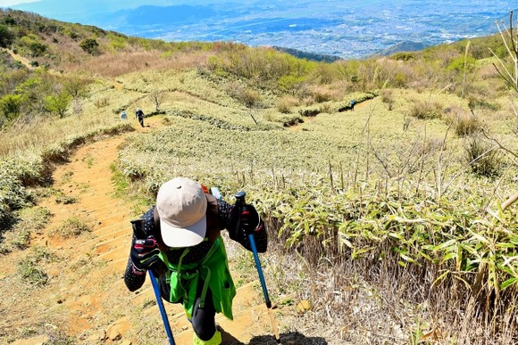 ハイカットかローカット論争の結論はミドルカット履けばすべて解決てことじゃないの？