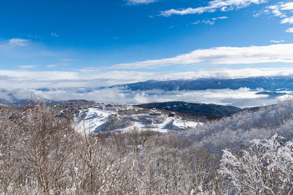 斑尾高原でお昼ごはん(´･ω･`)