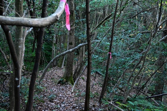 ワイ、山で発狂してるところを登山客に見られてしまう