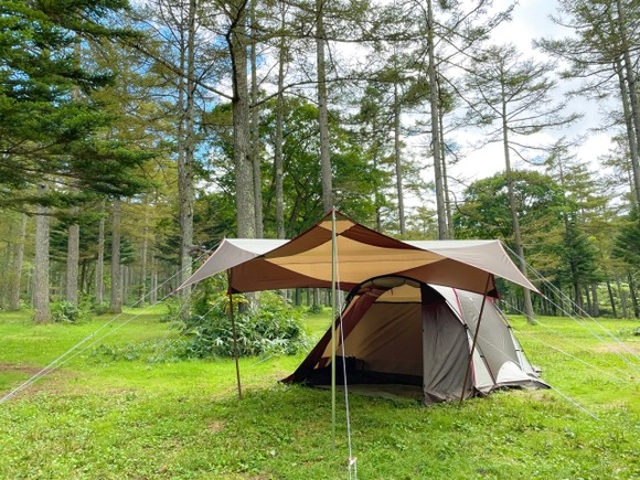 【画像】中古のテント衝動買いしたったｗｗｗｗｗｗｗｗｗｗｗ