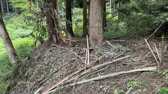 【兵庫】罠にかかったクマに襲われ全身から出血…男性は頭など噛まれ重傷　罠は踏むと巻き付く「ワイヤー式」現場周辺は竹が散乱