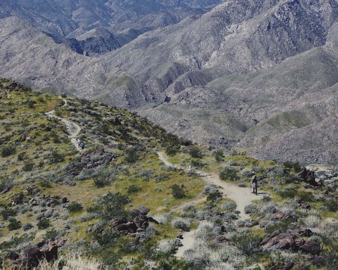 hiker (1)