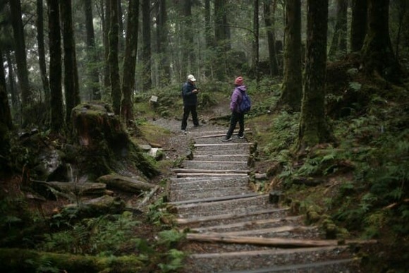 ハイキングなら初期投資ゼロで始められると思う