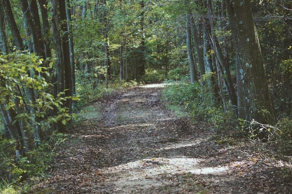 trail