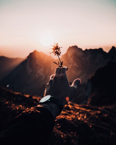 ayko-neil-kehl-766367-unsplash