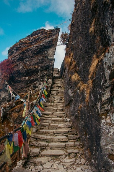 【ワークマン】ウィンドシェルトレックフーディの重量は実測 何gですか？