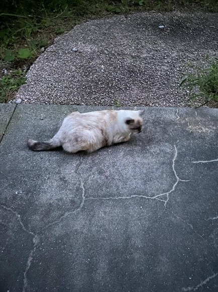 582