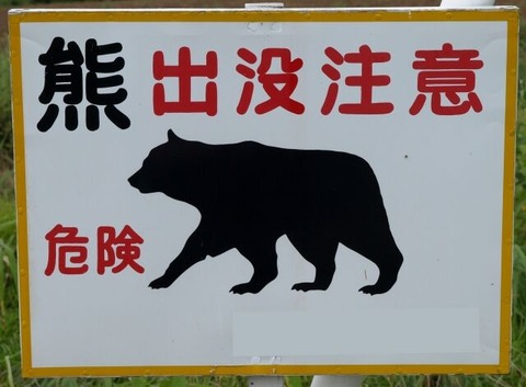 クマ注意