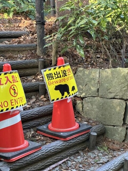 アホ「クマがかわいそう？じゃあお前が飼え」なぜクマ反対派はこんなに極論のアホなのか