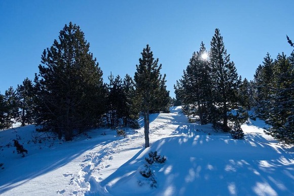 snow