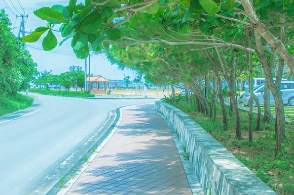 【悲報】日本さん、暑すぎて逝く…これもう東南アジアだろ