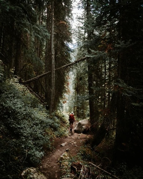 hiker