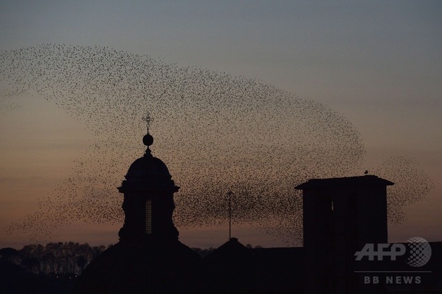 img_34eade29f82c4f5f156679dee0613d78164222