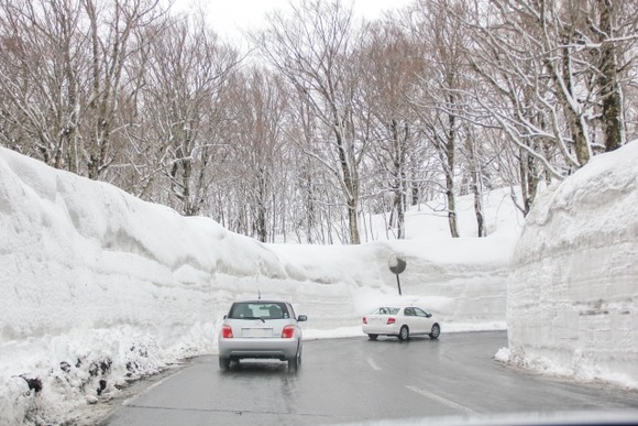 青森市さん、わずか2日間で一気に積雪37cmを記録してしまう…なんでここを県庁所在地にしたの？
