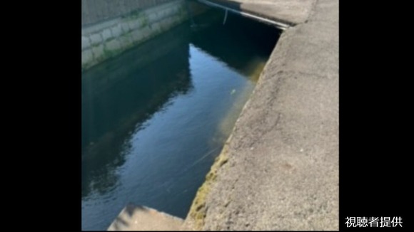 【岡山・倉敷市】用水路でおぼれている！助けた「黒い犬」動物病院へ…獣医「これは犬ではなくクマです」なんとクマだった！