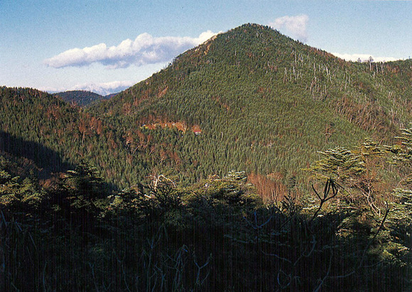 甲武信ヶ岳