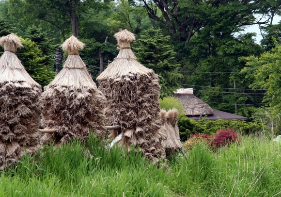 ジジババの家が山奥とか海辺にあるやつ