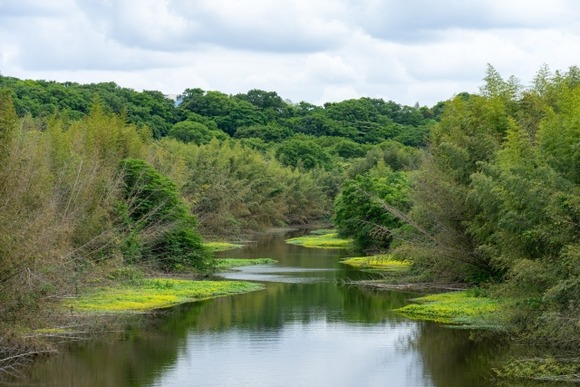 【動画】中国の川の水量、マジでやばい、お前らが想像する50倍やばいｗｗｗｗｗｗ